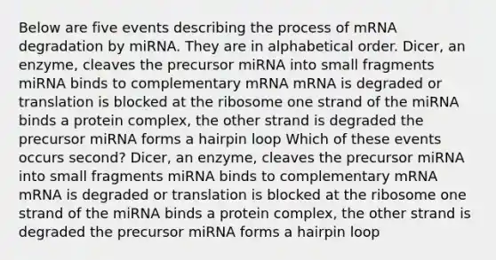 Below are five events describing the process of mRNA degradation by miRNA. They are in alphabetical order. Dicer, an enzyme, cleaves the precursor miRNA into small fragments miRNA binds to complementary mRNA mRNA is degraded or translation is blocked at the ribosome one strand of the miRNA binds a protein complex, the other strand is degraded the precursor miRNA forms a hairpin loop Which of these events occurs second? Dicer, an enzyme, cleaves the precursor miRNA into small fragments miRNA binds to complementary mRNA mRNA is degraded or translation is blocked at the ribosome one strand of the miRNA binds a protein complex, the other strand is degraded the precursor miRNA forms a hairpin loop