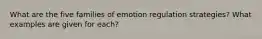 What are the five families of emotion regulation strategies? What examples are given for each?