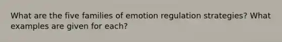 What are the five families of emotion regulation strategies? What examples are given for each?