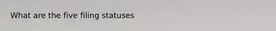 What are the five filing statuses