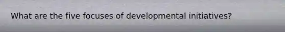 What are the five focuses of developmental initiatives?