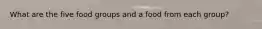 What are the five food groups and a food from each group?