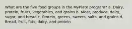 What are the five food groups in the MyPlate program? a. Dairy, protein, fruits, vegetables, and grains b. Meat, produce, dairy, sugar, and bread c. Protein, greens, sweets, salts, and grains d. Bread, fruit, fats, dairy, and protein