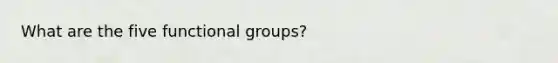 What are the five functional groups?