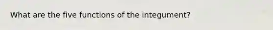 What are the five functions of the integument?