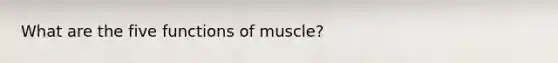 What are the five functions of muscle?