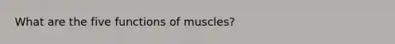 What are the five functions of muscles?