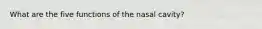 What are the five functions of the nasal cavity?