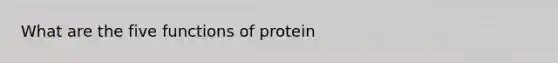 What are the five functions of protein