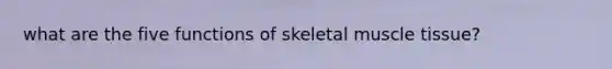 what are the five functions of skeletal muscle tissue?