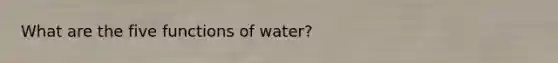 What are the five functions of water?