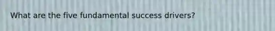 What are the five fundamental success drivers?