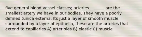 five general blood vessel classes; arteries _______ are the smallest artery we have in our bodies. They have a poorly defined tunica externa. Its just a layer of smooth muscle surrounded by a layer of epithelia, these are the arteries that extend to capillaries A) arterioles B) elastic C) muscle