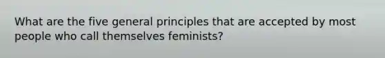 What are the five general principles that are accepted by most people who call themselves feminists?