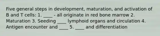 Five general steps in development, maturation, and activation of B and T cells: 1. ____ - all originate in red bone marrow 2. Maturation 3. Seeding ____ lymphoid organs and circulation 4. Antigen encounter and ____ 5. ____ and differentiation