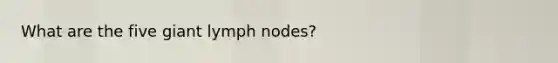 What are the five giant lymph nodes?