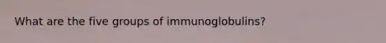 What are the five groups of immunoglobulins?