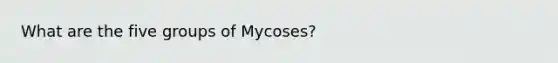 What are the five groups of Mycoses?