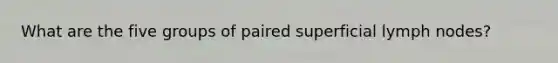 What are the five groups of paired superficial lymph nodes?