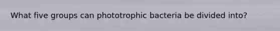 What five groups can phototrophic bacteria be divided into?