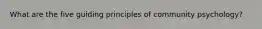 What are the five guiding principles of community psychology?