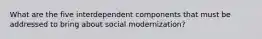 What are the five interdependent components that must be addressed to bring about social modernization?