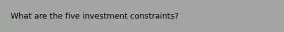 What are the five investment constraints?