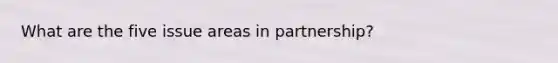 What are the five issue areas in partnership?