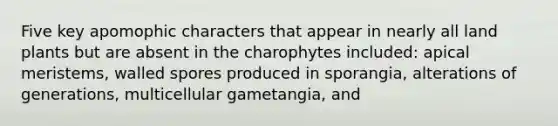 Five key apomophic characters that appear in nearly all land plants but are absent in the charophytes included: apical meristems, walled spores produced in sporangia, alterations of generations, multicellular gametangia, and