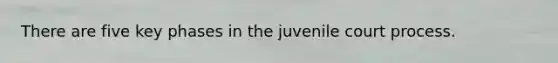 There are five key phases in the juvenile court process.