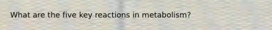 What are the five key reactions in metabolism?