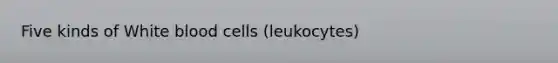 Five kinds of White blood cells (leukocytes)