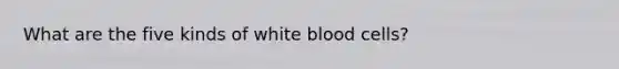 What are the five kinds of white blood cells?