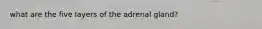 what are the five layers of the adrenal gland?