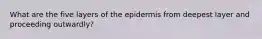 What are the five layers of the epidermis from deepest layer and proceeding outwardly?