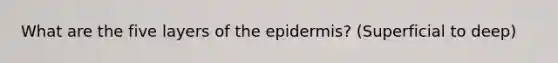 What are the five layers of the epidermis? (Superficial to deep)