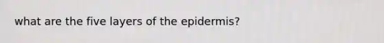 what are the five layers of the epidermis?