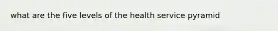 what are the five levels of the health service pyramid