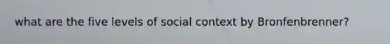 what are the five levels of social context by Bronfenbrenner?