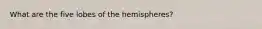 What are the five lobes of the hemispheres?