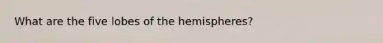 What are the five lobes of the hemispheres?