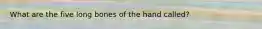 What are the five long bones of the hand called?