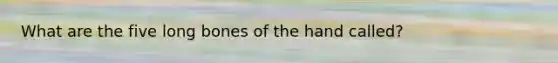 What are the five long bones of the hand called?