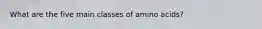 What are the five main classes of amino acids?