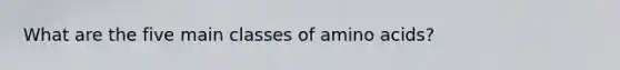 What are the five main classes of amino acids?