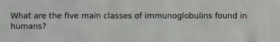 What are the five main classes of immunoglobulins found in humans?