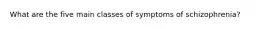 What are the five main classes of symptoms of schizophrenia?