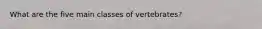 What are the five main classes of vertebrates?