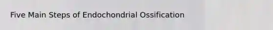 Five Main Steps of Endochondrial Ossification