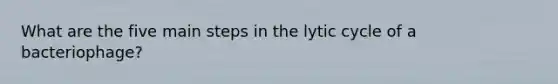 What are the five main steps in the lytic cycle of a bacteriophage?